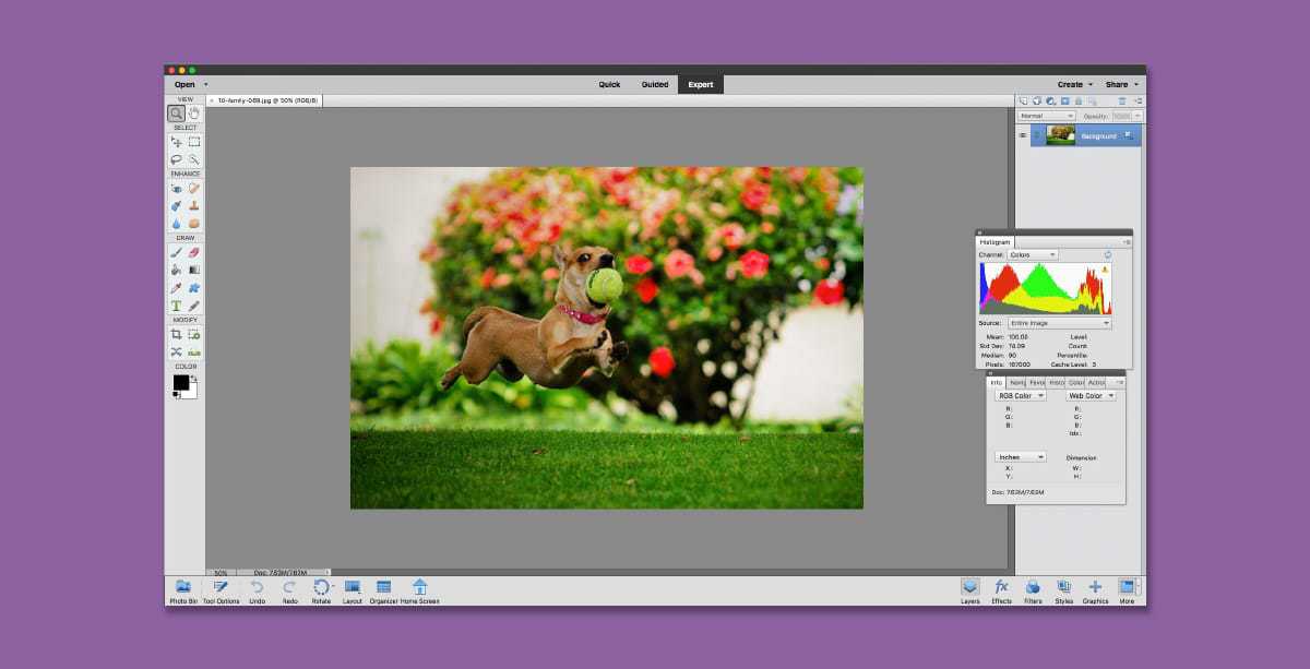 Adobe Photoshop Elements - alternative to buy photoshop, but no cloud storage. Should you use Photoshop or not?