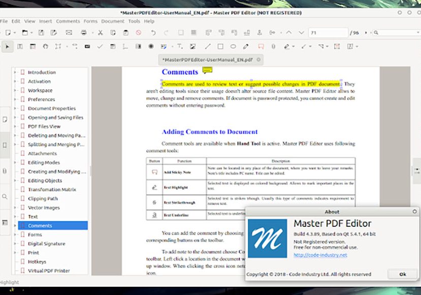 A screen shot of a document on a computer screen.