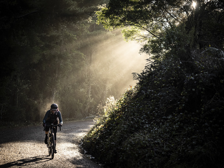 A cyclist riding down a road with sunlight shining on him.