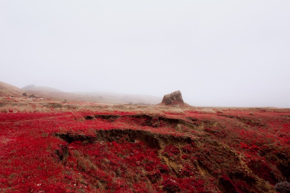 A red field with a fog covering it.