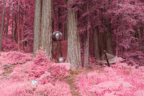 An infrared image of a pink forest with silver balloons.
